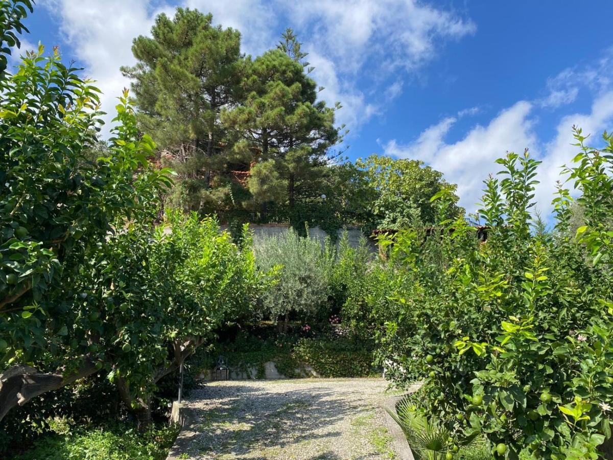 Casa Marietta Villa Forza dʼAgro Kültér fotó